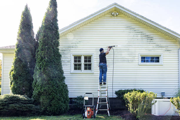 Best Graffiti Removal  in Mount Vernon, IN